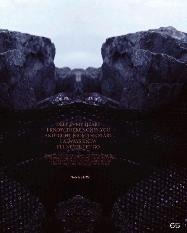 Homme-6-精壯美男魚